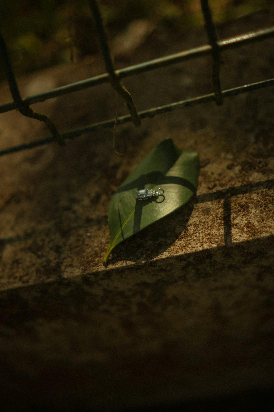 Silver hoop earring with clear stones resting on a green leaf.